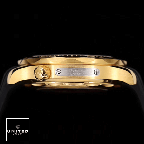 Omega Seamaster Diver 210.30.42.20.01.001 "Black Dial" Masterpiece Clone Omega Seamaster Gold Case 1/257 Replica side view black background